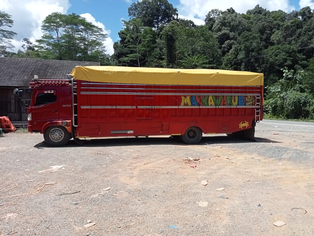 Pengangkutan material pembangunan di wilayah Kalimantan Selatan