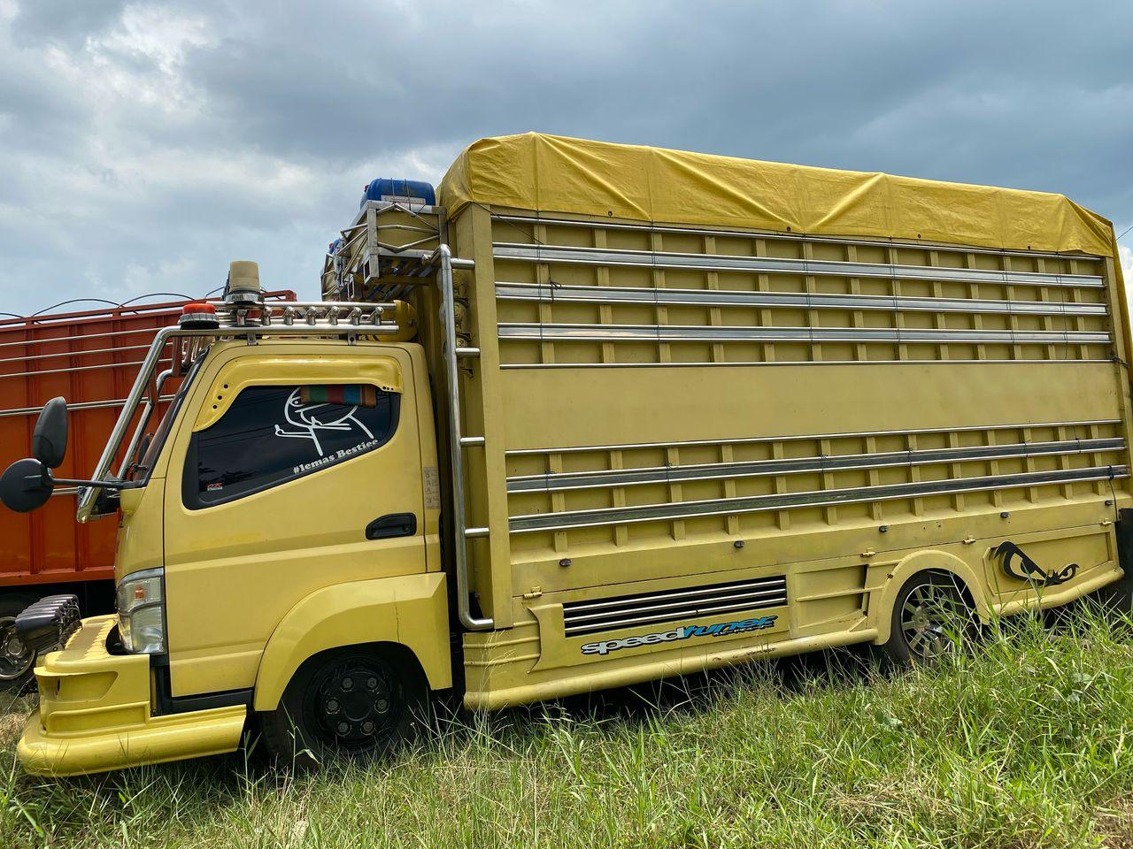 Layanan logistik dan transporter Kalimantan Tengah untuk distribusi perusahaan